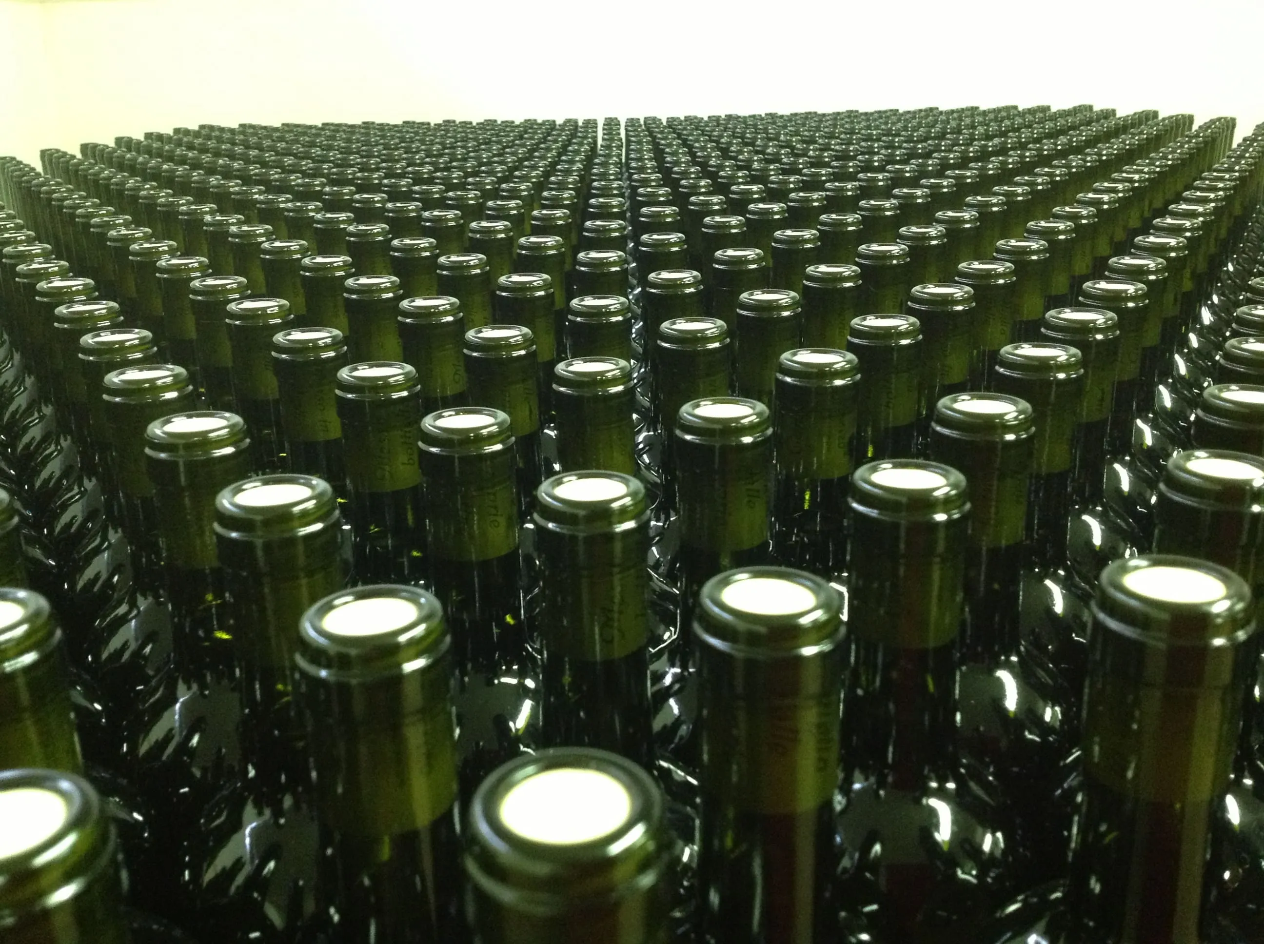 Bottiglie di vino non etichettate, riprese da vicino, tutte una affianco all'altra