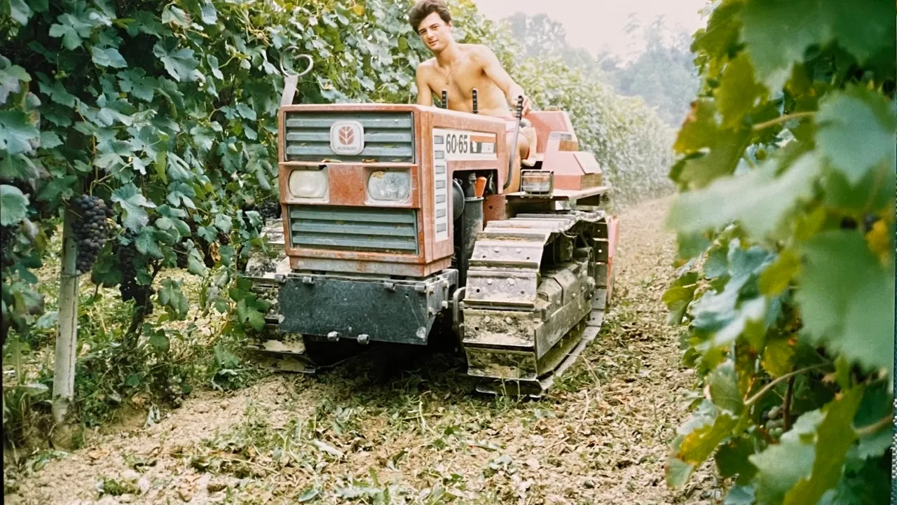 Michele Capra da giovane sul cingolo in mezzo ai filari di viti, con foto fatta da davanti al cingolo 