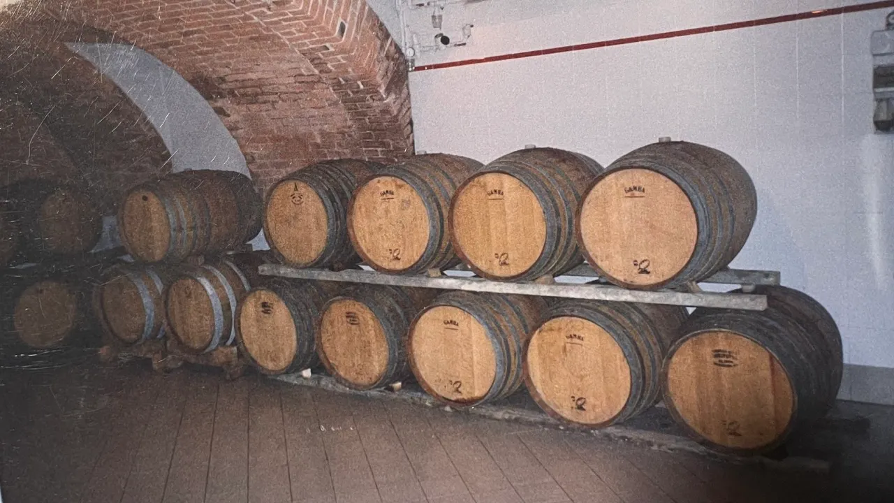 Vecchia cantina dell'azienda vitivinicola Michele Capra, con botti di rovere impilate 